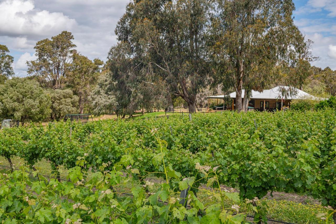 Island Brook Estate Vineyard And Chalets Yelverton Екстер'єр фото